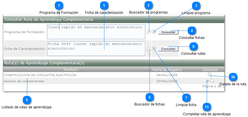 Consultar Ruta de Aprendizaje Complementaria