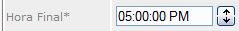 Hora Final
