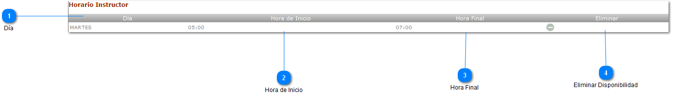 Horario Instructor