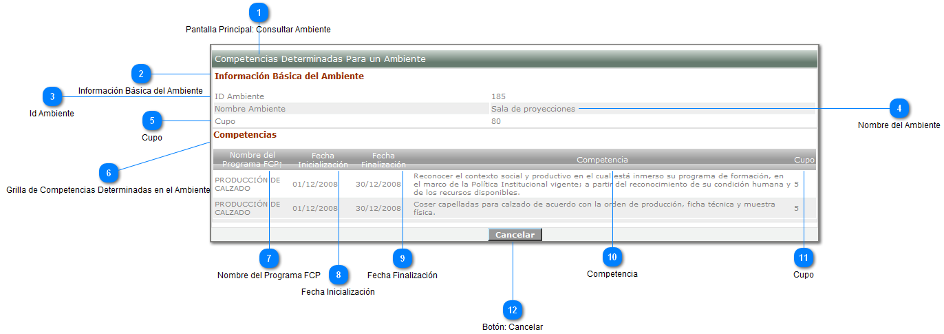 Consultar Competencias Ambiente