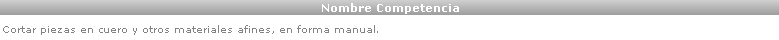 Nombre de la Competencia