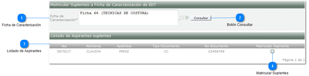 Matrícular suplentes a Ficha de caracterización EDT