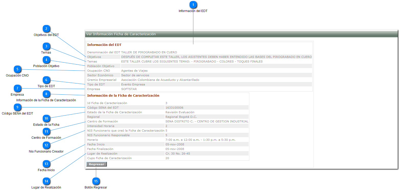 Ver Información de la Ficha de Caracterización