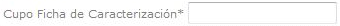 Cupo Ficha de Caracterización