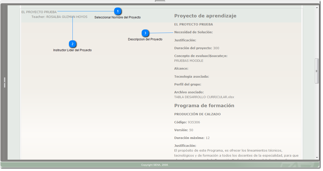 Ingresar Categoria Proyectos de Aprendizaje