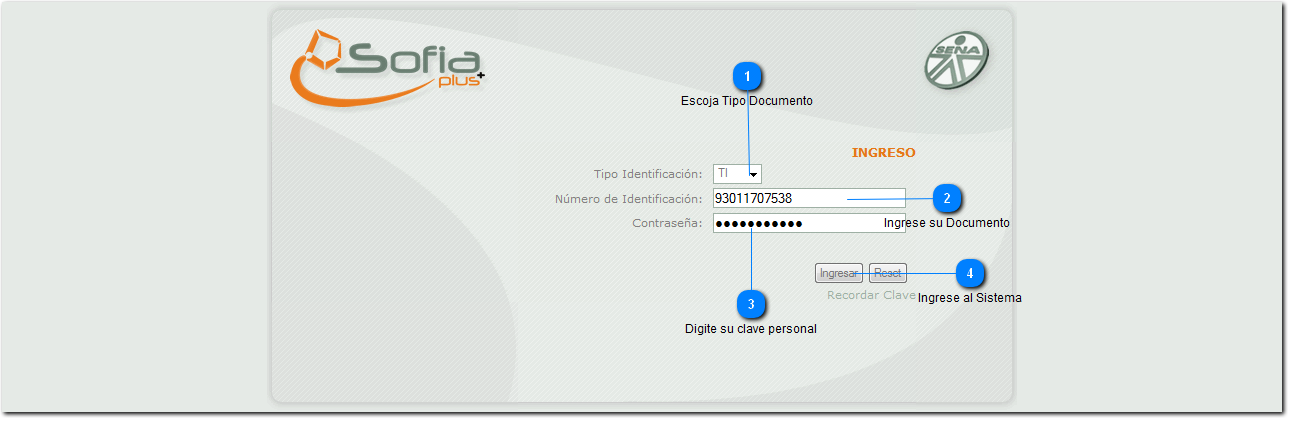 Ingresar al Sistema