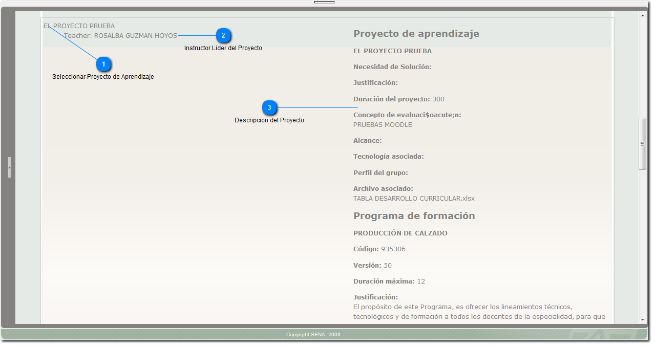 Ingresar Categoria Proyectos de Aprendizaje