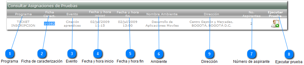 Consultar Asignación de Pruebas