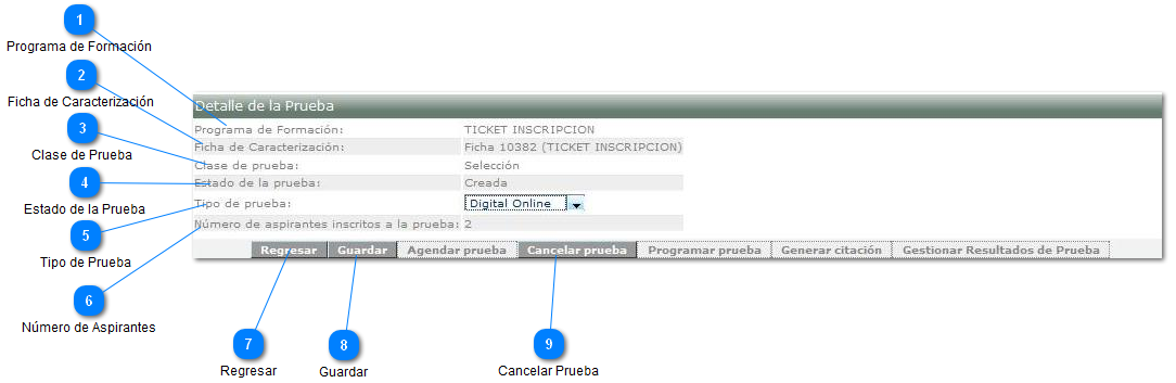 Consultar Prueba Creada
