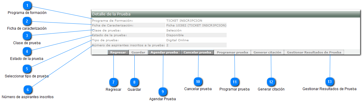 Consultar Prueba Creada