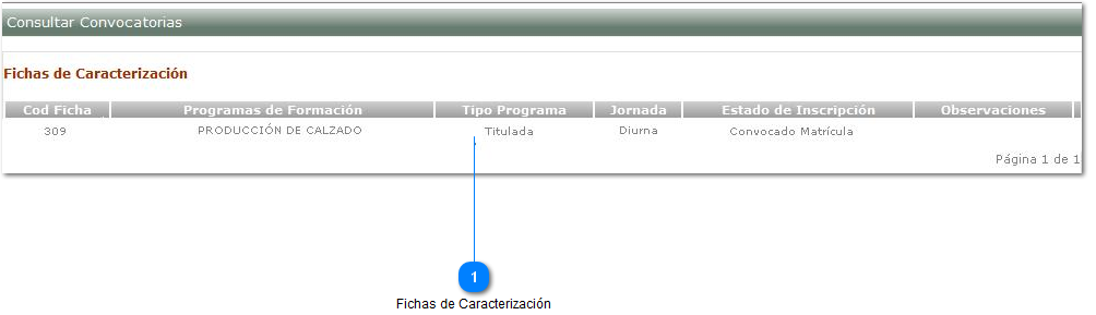 Consultar Convocatoria