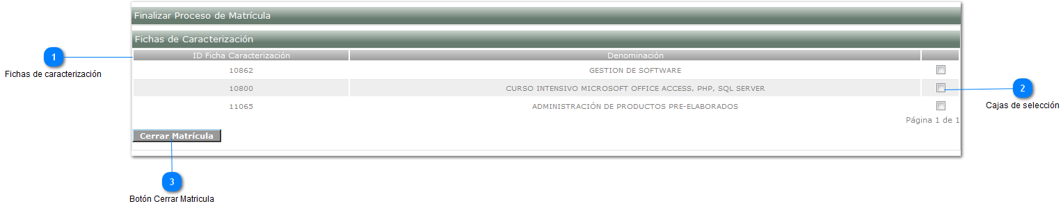 Finalizar Proceso Matricula