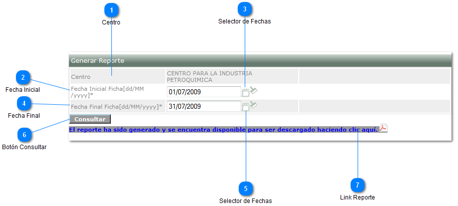 Generar Reporte
