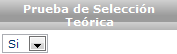 Prueba de Selección Teórica