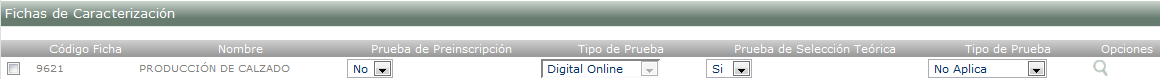 Fichas de Caracterización