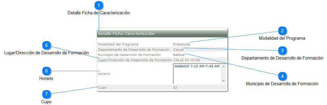 Detalle Ficha a Personalizar
